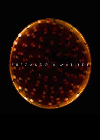 Looking for Matilde Poster