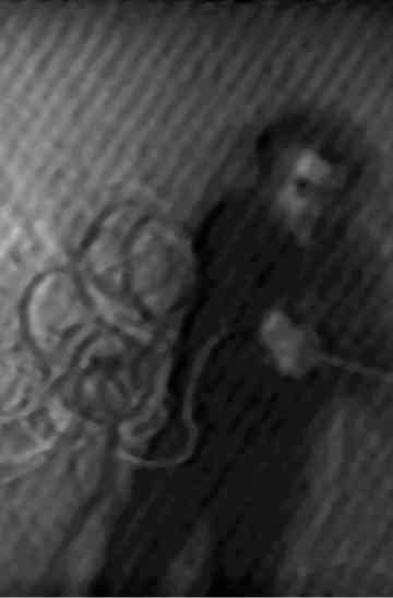 Dynamic Field Series Poster