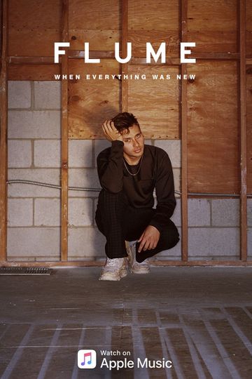 Flume When Everything Was New