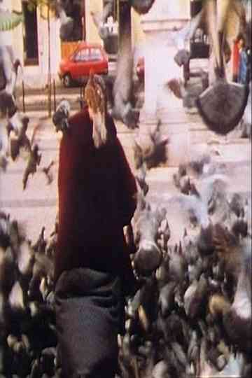 American International Pictures Poster