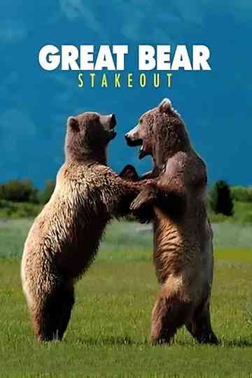 Great Bear Stakeout poster
