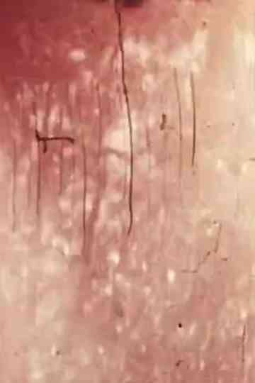 Awakener [16mm version] Poster