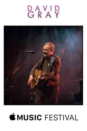 David Gray  iTunes Music Festival London Poster