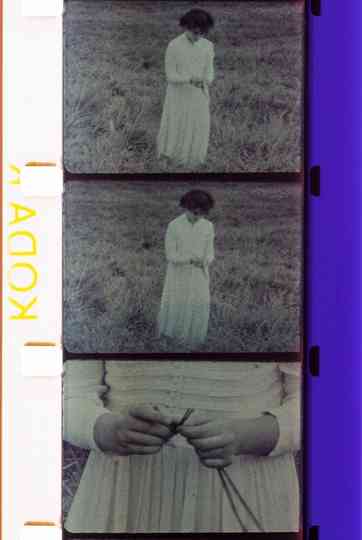 For Concertino Poster