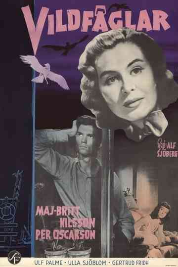 Vildfåglar Poster