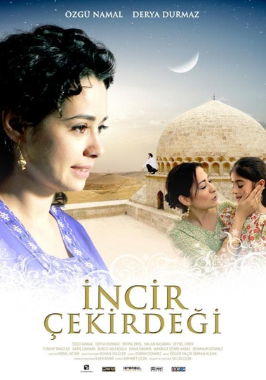 İncir Çekirdeği Poster