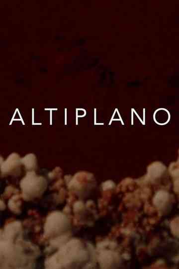 Altiplano Poster