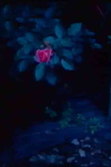 A Rubber Dinghy and Oysters Poster