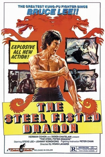 The Steel Fisted Dragon Poster