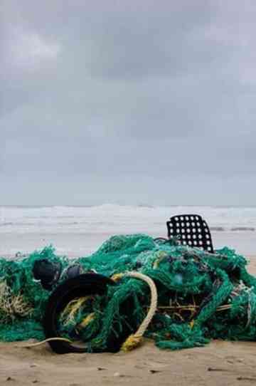 Second Nature Poster