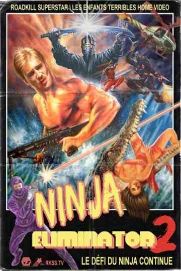 Ninja Eliminator 2 Quest of the Magic Ninja Crystal