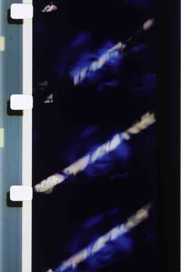 Couleurs délicieuses sur fond bleu Poster