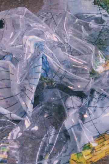 The Image The World Poster