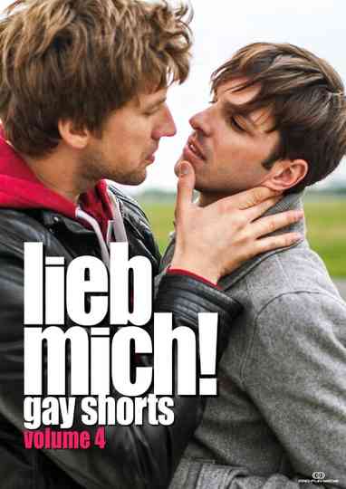 LIEB MICH  Gay Shorts Volume 4 Poster