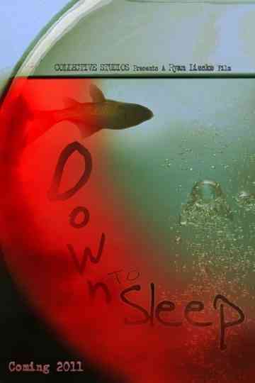 Down to Sleep Poster
