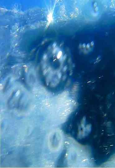 A fleur d’eau… Poster