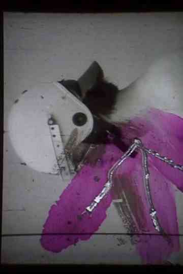 Instructions on how to Pull off Police Helmets Poster