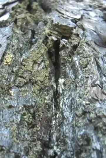 3 Parts for Today Poster