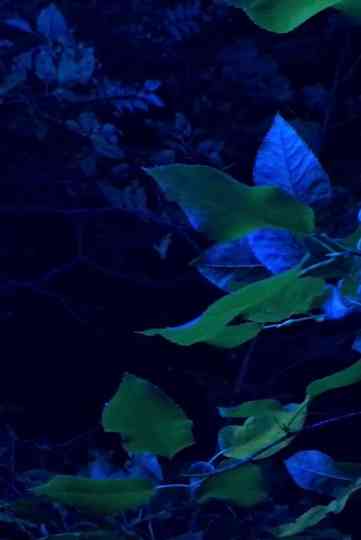 A Hand In Two Ways (Fisted) Poster