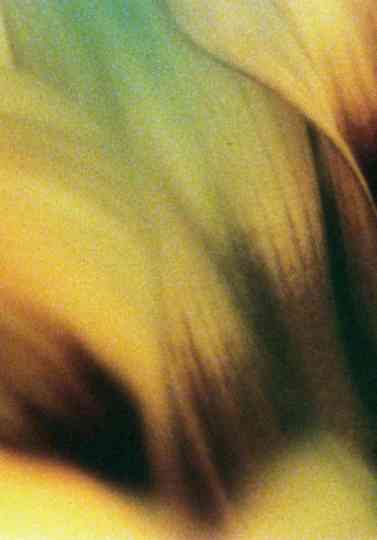 Glide of Transparency Poster