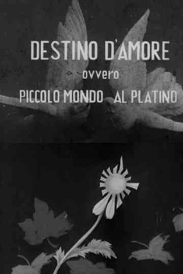 Destino d'amore, ovvero, piccolo mundo al platino Poster