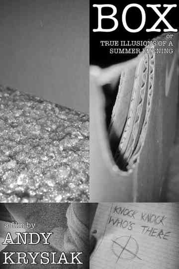 Box, or True Illusions of a Summer Evening Poster