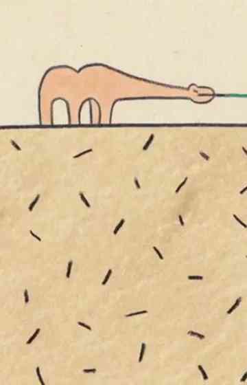 Essay in the Desert Poster