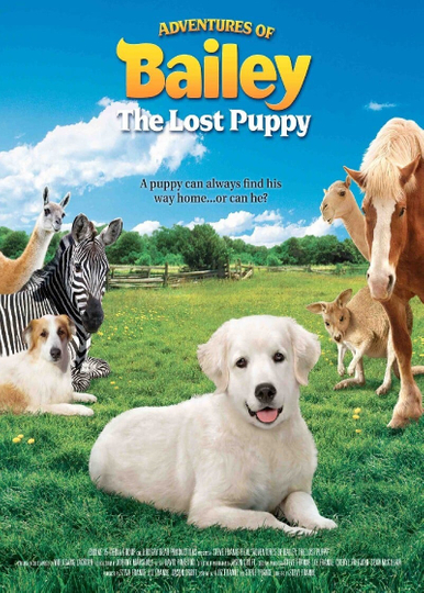 Adventures of Bailey The Lost Puppy Poster