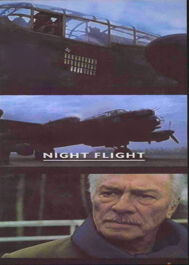 Night Flight Poster