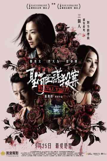 Fatal Visit poster