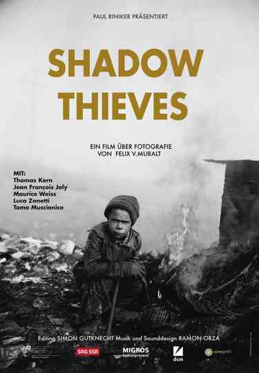 Shadow Thieves Poster