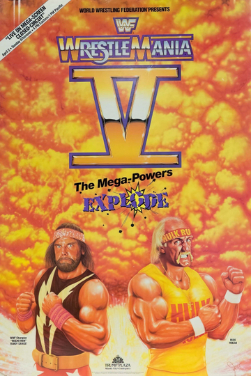 WWE WrestleMania V