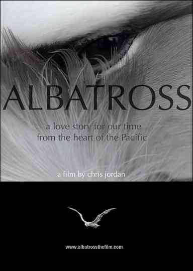 Albatross Poster
