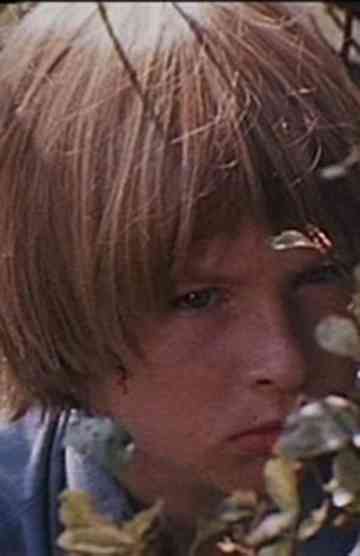 Clandestine Summer Poster