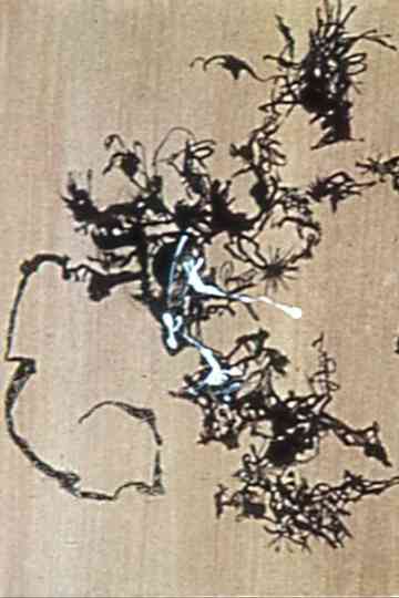 Transformation Poster