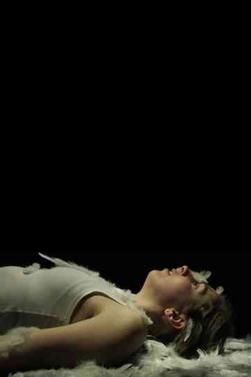 Att skjuta en mås Poster