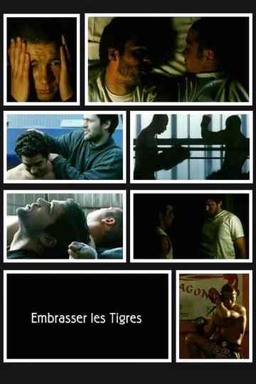 Kissing Tigers Poster