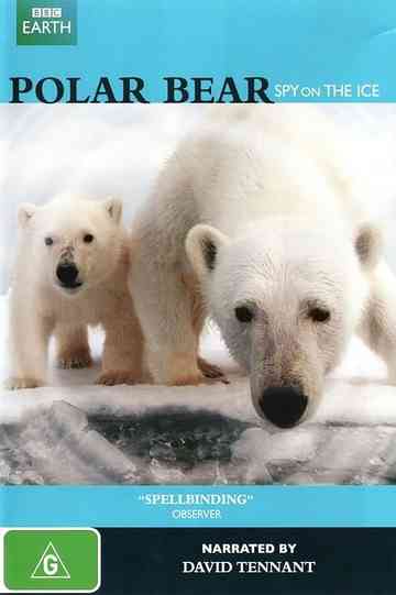 Polar Bear - Spy on the Ice Poster