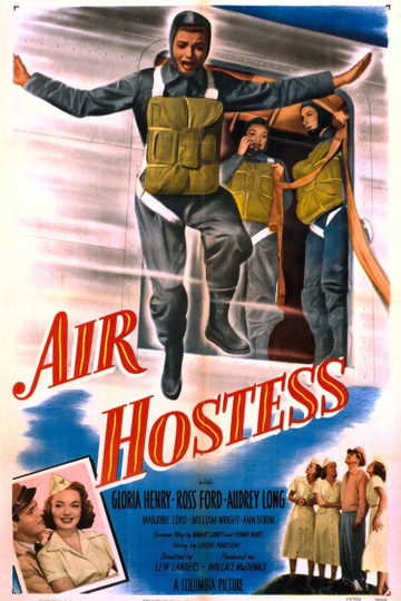 Air Hostess Poster