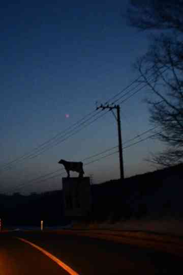 Roadside Picnic Poster