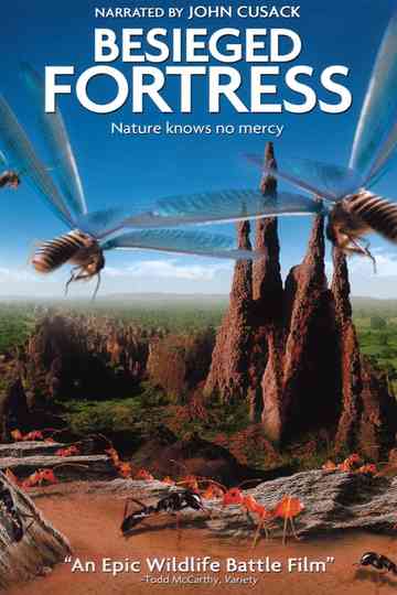 The Besieged Fortress Poster