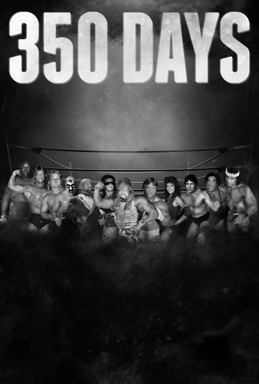 350 Days Poster