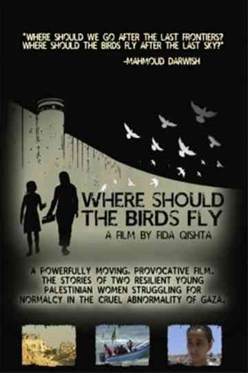 Where Should the Birds Fly poster