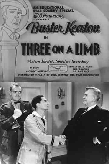 Three on a Limb Poster
