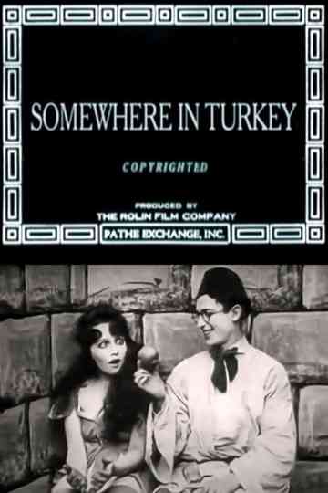 Somewhere in Turkey Poster