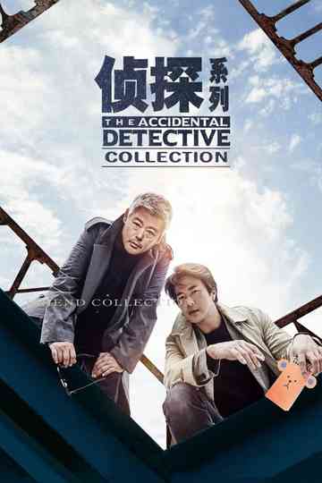 The Accidental Detective Collection Poster