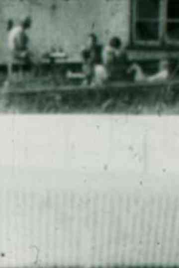 Lost for Words Poster