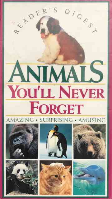 Animals Youll Never Forget poster