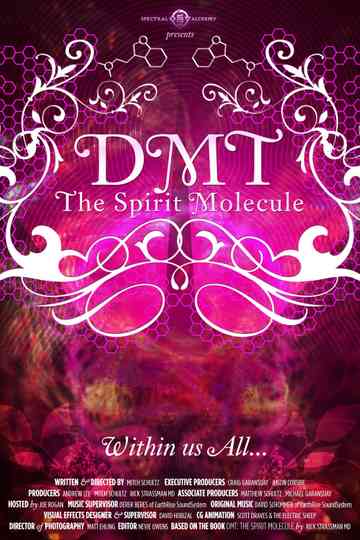 DMT The Spirit Molecule poster