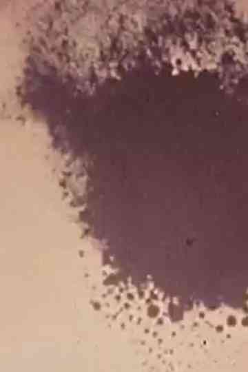 The Flight of Icarus Poster